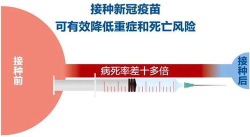 上海累计死亡190例，疫情下的挑战与反思