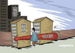 经济适用住房管理办法，构建公平住房市场的桥梁