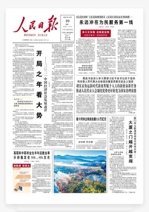 深入解析，入党时主要社会关系的考量与影响