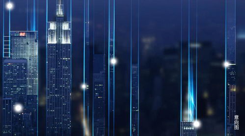 上海民政局，城市温度的守护者—揭秘上海民政服务的创新与挑战