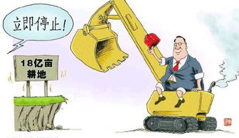 耕种绿意，税赋智慧 耕地占用税税率的奥秘