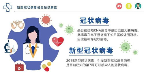 软组织挫伤，了解、预防与恢复指南