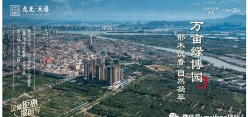 西安新冠疫情，共同守护古城的健康长城