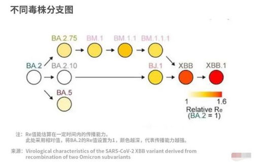 XBB变异株，一地疫情加速蔓延，近300万人感染，我们如何应对？