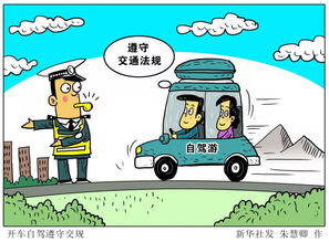 深圳违章车辆查询，轻松掌握交通规则，保障安全出行