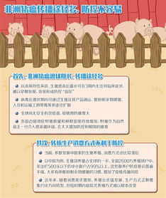 疫情蔓延，21个省份的挑战与应对