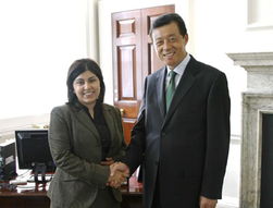 深入了解国家主席任期，历史、规定与影响