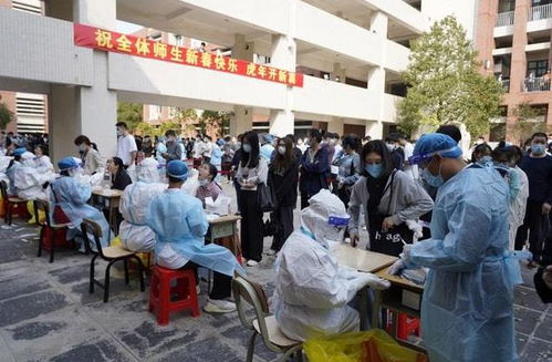 新疆疫情新动态，新增8例确诊病例，防控措施升级