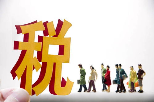 个人所得税，理解、规划与合理避税