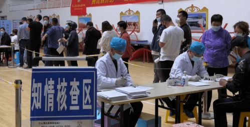 河北封城，守护健康，共筑防疫长城