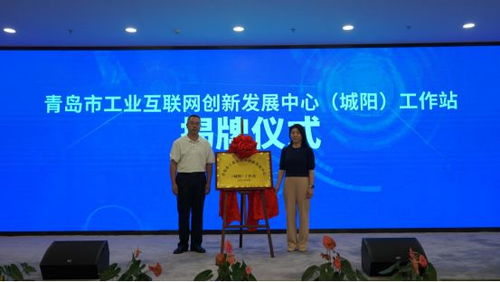 青岛市劳动和社会保障网，数字化转型下的就业服务与社会保障新篇章