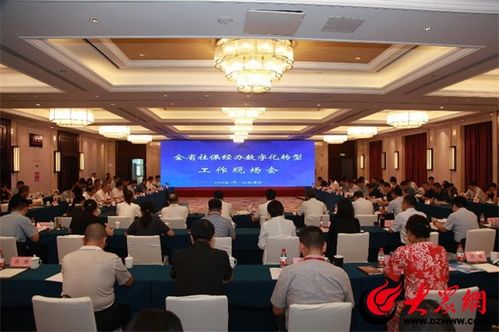 青岛市劳动和社会保障网，数字化转型下的就业服务与社会保障新篇章