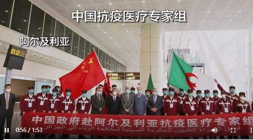 郑州抗疫，共克时艰，守护绿城