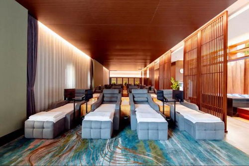 沈阳洗浴文化，探索东北的洗浴特服与地方风情