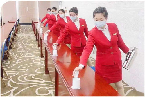 山东人事厅，人才管理与服务的桥梁