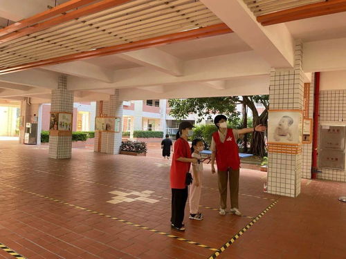 东莞疫情新动态，新增本土病例6例的应对与预防