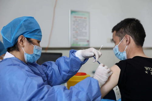 东莞疫情新动态，新增本土病例6例的应对与预防