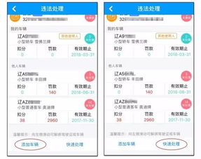 南京车辆违章查询，一键掌握你的驾驶记录