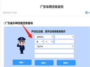 荆门车辆违章查询，如何轻松掌握交通违规信息