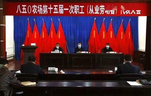 职工代表大会决议，企业民主管理的新篇章