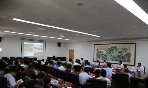 河南沈丘疫情新动态，共同守护健康防线