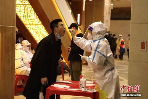 黑龙江疫情，最新动态与防控措施