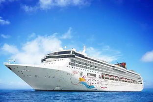 开启海上之旅，开游艇所需的证件全解析