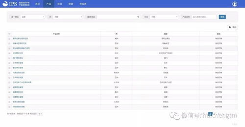深入探索，国家专利局专利检索的奥秘与实用指南