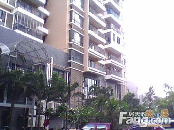 海口市房屋出租，市场分析与租房攻略