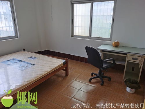 海口市房屋出租，市场分析与租房攻略