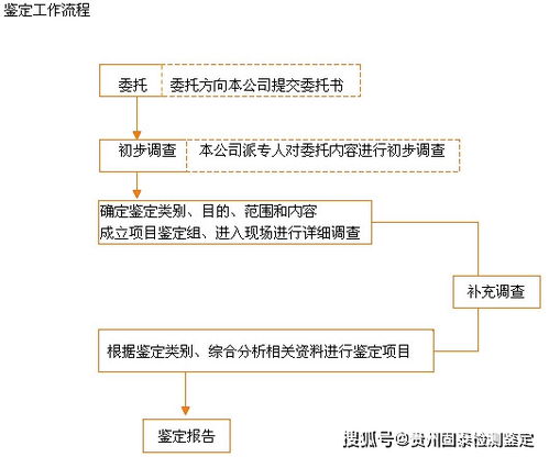 亲子鉴定，揭开真相的代价与流程