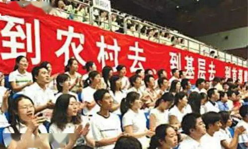 扎根乡土，共筑梦想，大学生村官的待遇与未来