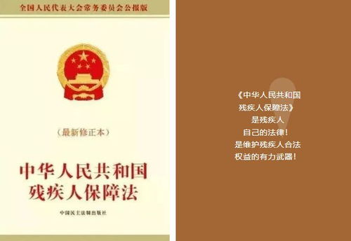 残疾人保障法，构建平等社会的重要基石