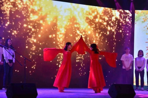 婚后生活的艺术，平衡工作与休息