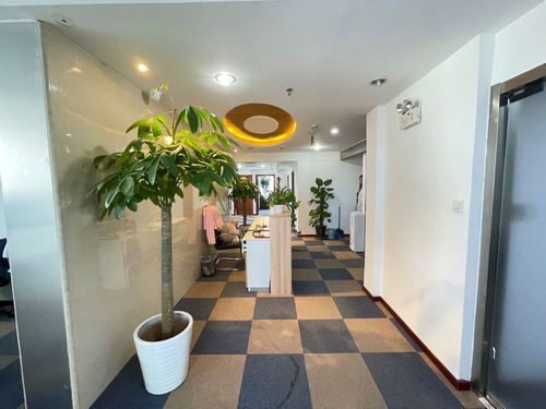 罗田房屋出租，如何轻松找到理想的家