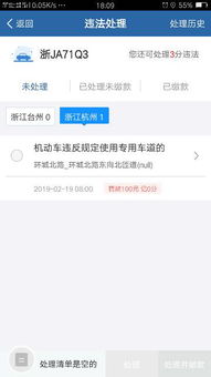 杭州市车辆违章查询，简单步骤与实用技巧