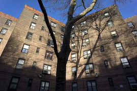 探索安阳廉租房，为低收入家庭提供温馨之家