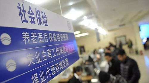 职工社会保险，保障与责任的桥梁