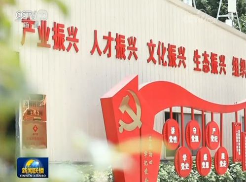 员工福利，企业关爱的桥梁，员工幸福的源泉