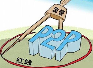 深入理解监督的基本原则，构建高效监管体系