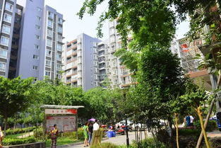 滕州经济适用房，为中低收入家庭打造温馨家园