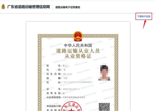 道路运输从业资格证查询指南，如何轻松验证你的职业资格