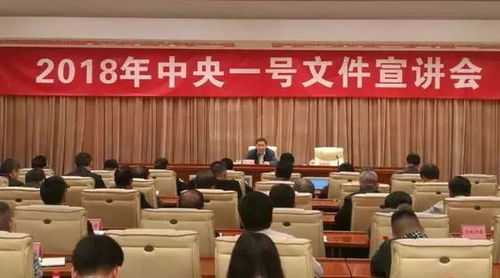 广西人事厅，人才的摇篮，发展的引擎