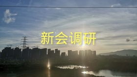 疫情的曙光，10天后的希望与挑战