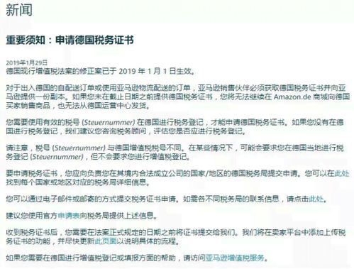 政审材料撰写指南，打造你的专业形象