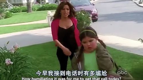 家庭纽带，大姨子与妹夫的角色与影响