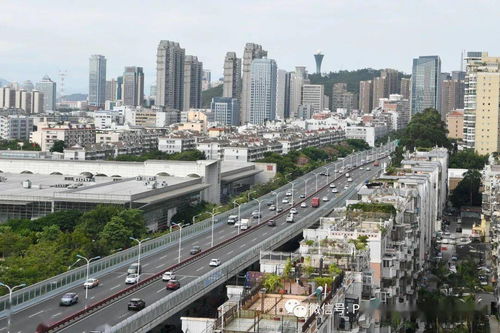 西安复苏，中高风险区清零，古城迎来新希望