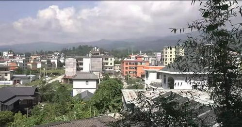 西安复苏，中高风险区清零，古城迎来新希望