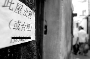 留宿网友引狼入室，网络交友需谨慎，安全意识不可少