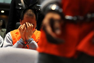 深圳沙井龙哥，一个城市角落的传奇故事